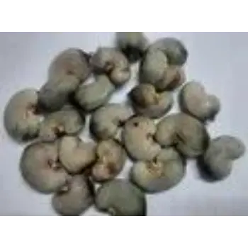 Organic Raw Cashew Nuts 